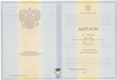 Диплом ВШНИ 2010-2011 годов